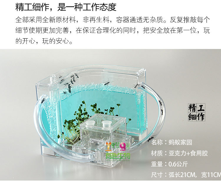 蚂蚁家园双拱桥详情描述PSD_02