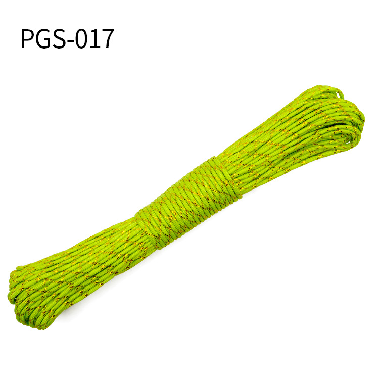PGS-017.jpg