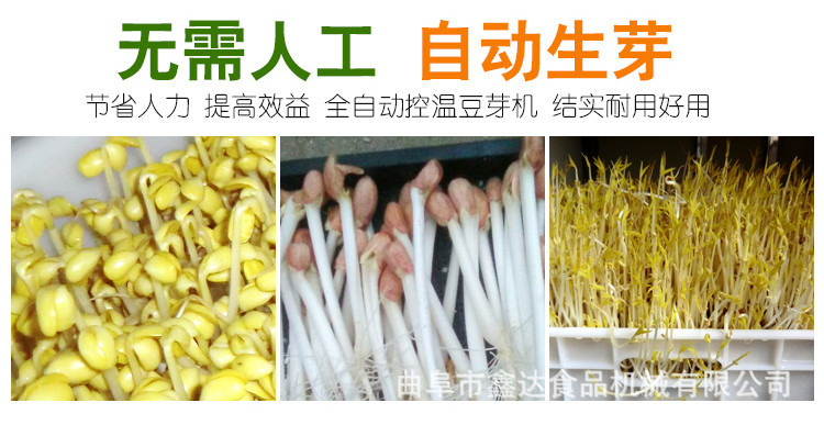 智能豆芽机