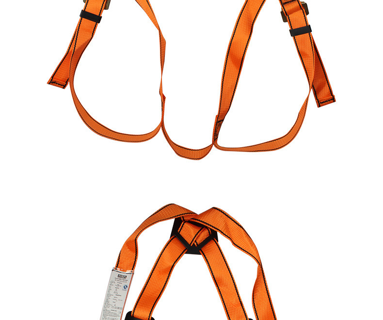 4067223109_533917649