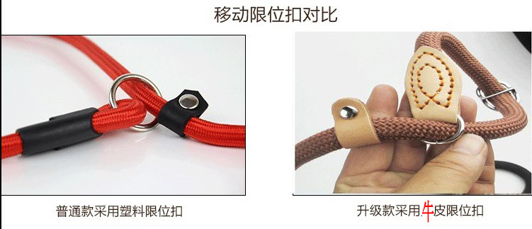 4449451036_696987398