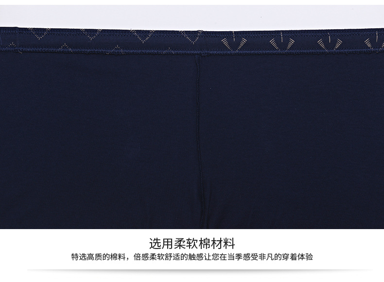 金晖内裤_14.jpg