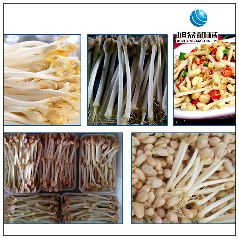 TB2nc3nhr8kpuFjy0FcXXaUhpXa_!!