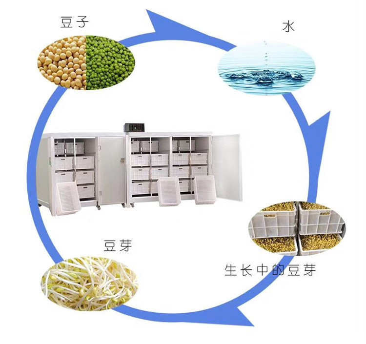豆芽机全自动