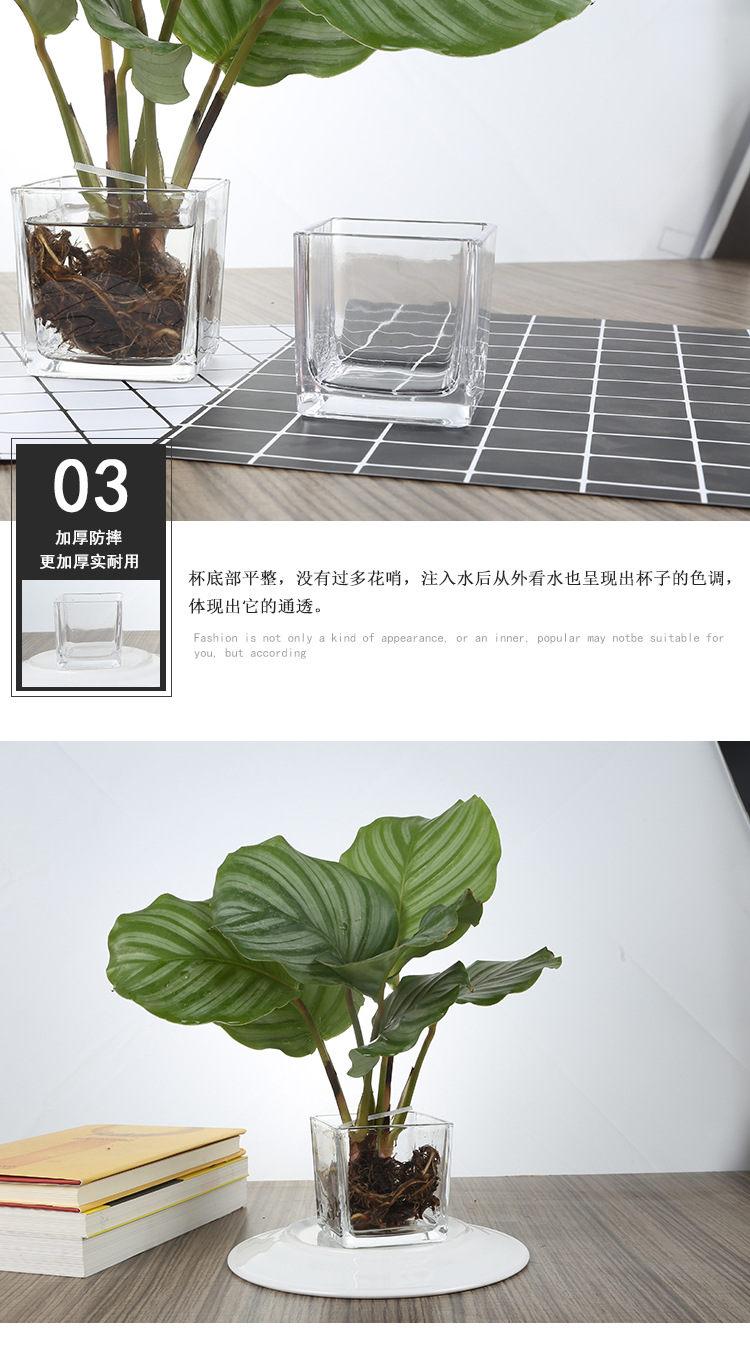 透明方缸详情_11.jpg?x-oss-process=image/format,png