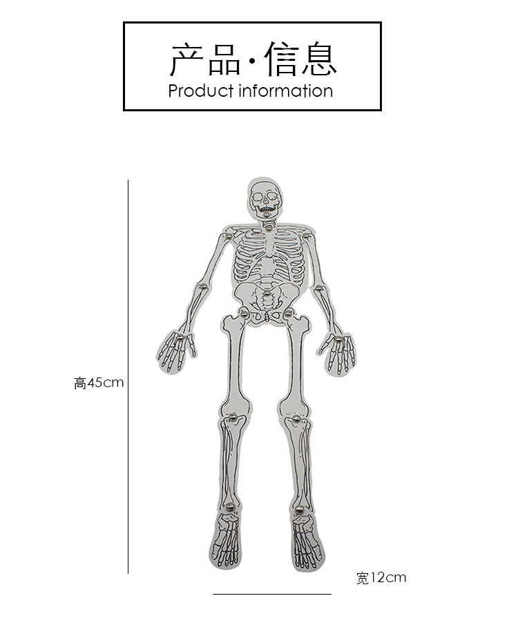 人体骨骼1_03.jpg