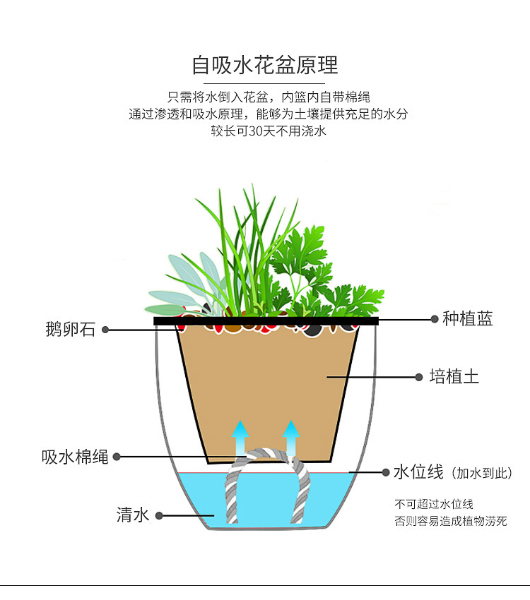 吸水花盆_07