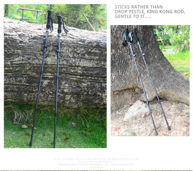 自由光1系 (40).jpg