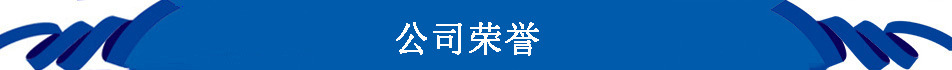 公司荣誉