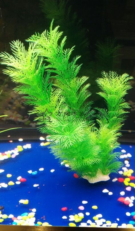 imagelock:3;k:r;s:J/x3zZmo8SxWIF8LKShyvD7nNAkN64SY0kuO8+3Jl0NWTZZZOAVHW/eWAPy4dhM6Kl8NcT9q/Q/ARjkOmLpseavl6KQC4YQBaPClX+3EtsICCXdUUfzSX8iFifueeSfn