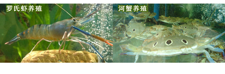 B08详情-手机_11.jpg