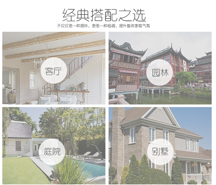 鹦鹉、_20.jpg