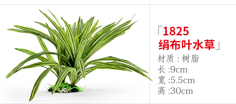 xq273 1825绢布叶水草.jpg