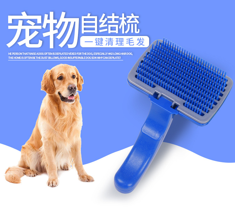 8150宠物狗梳子_01.jpg
