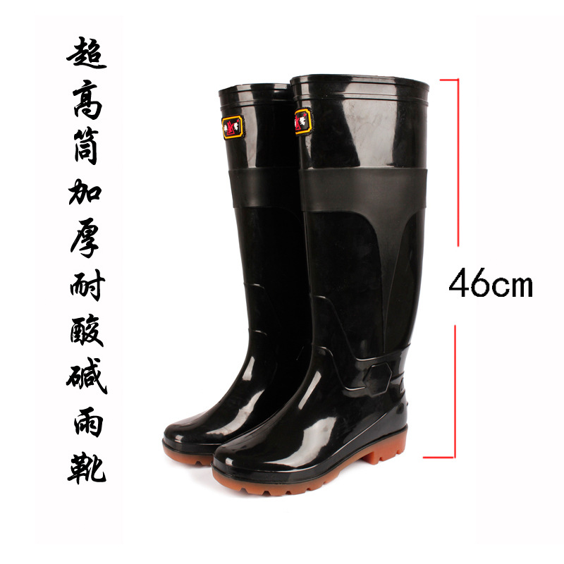男特高800