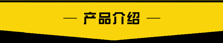 公司介绍