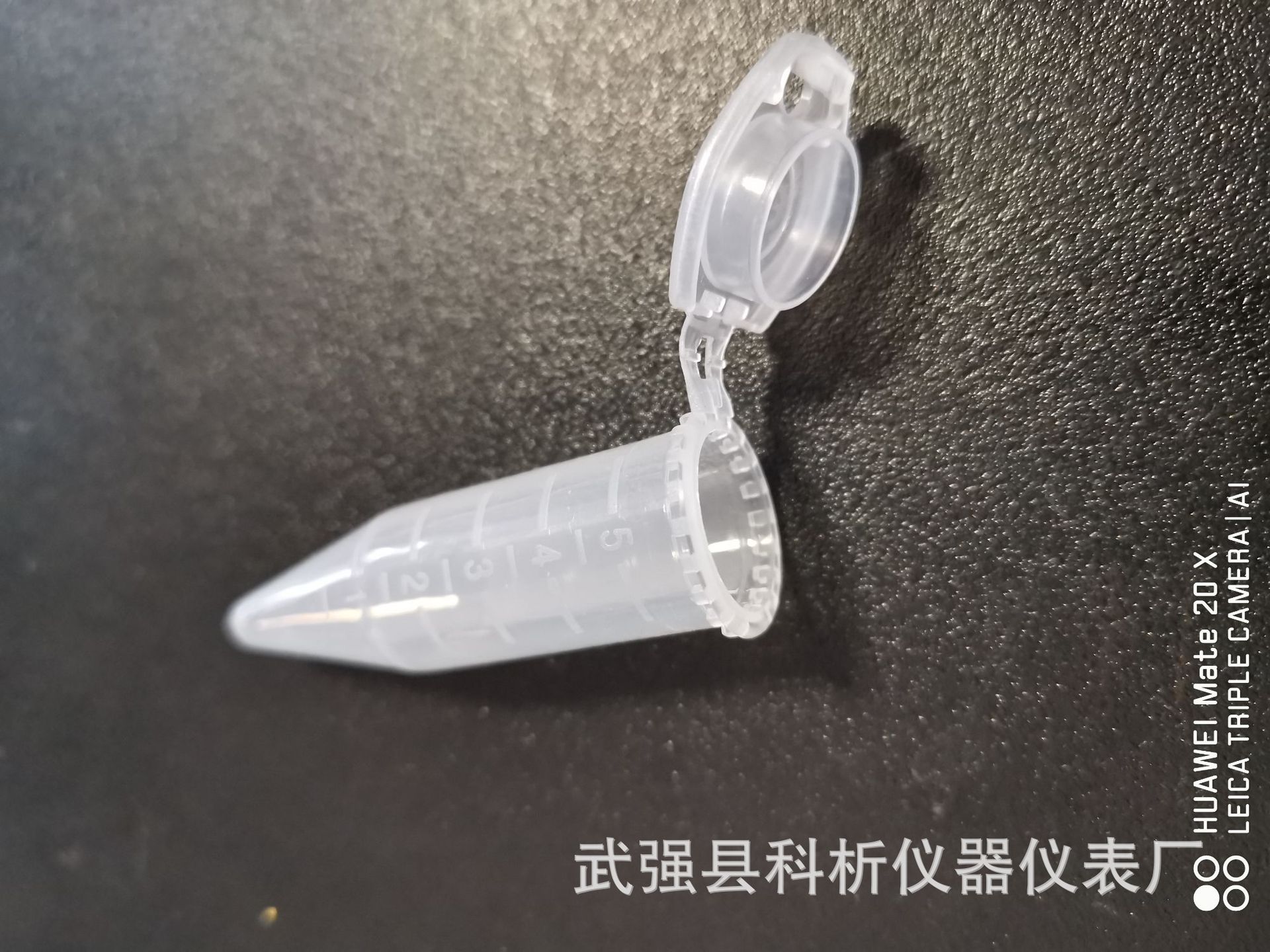 IMG_20181105_155204_BURST001_C