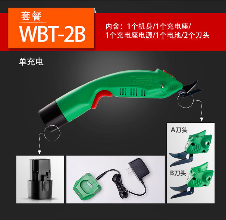 WBT-2_21