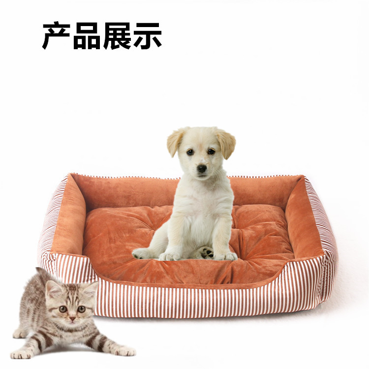 橘黄色条子_副本