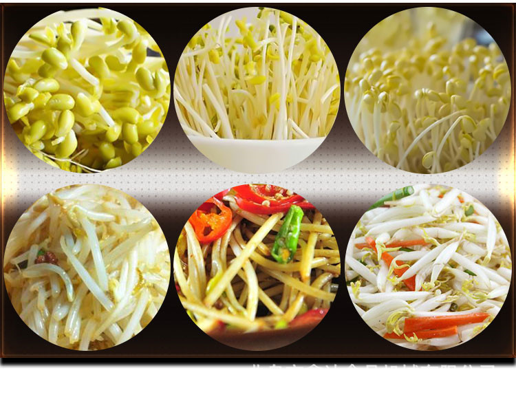 小型豆芽机