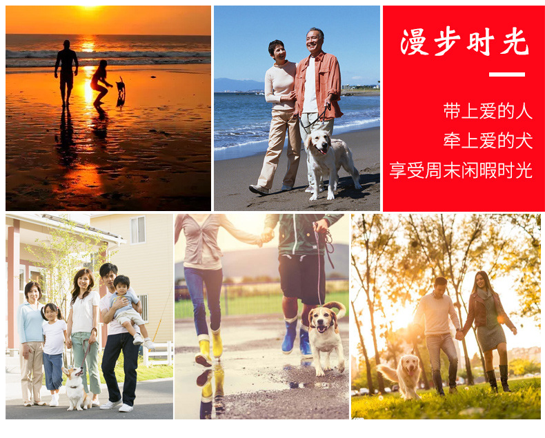 8-七彩牵引绳_05