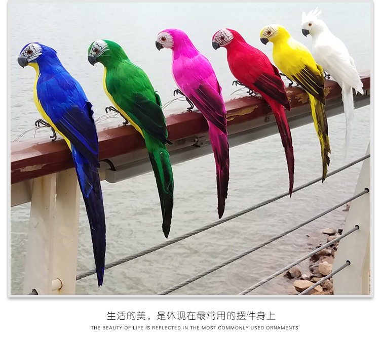 鹦鹉、_18.jpg