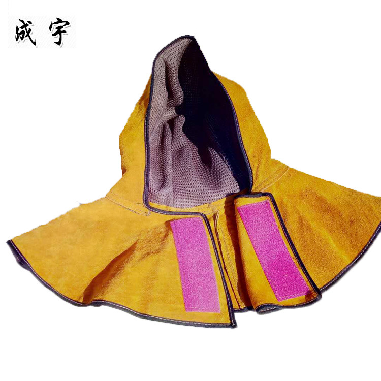 成宇主图6