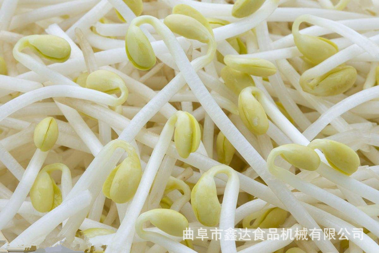 豆芽机