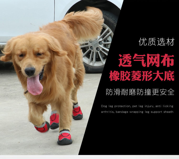 宠物网鞋_r3_c1.jpg