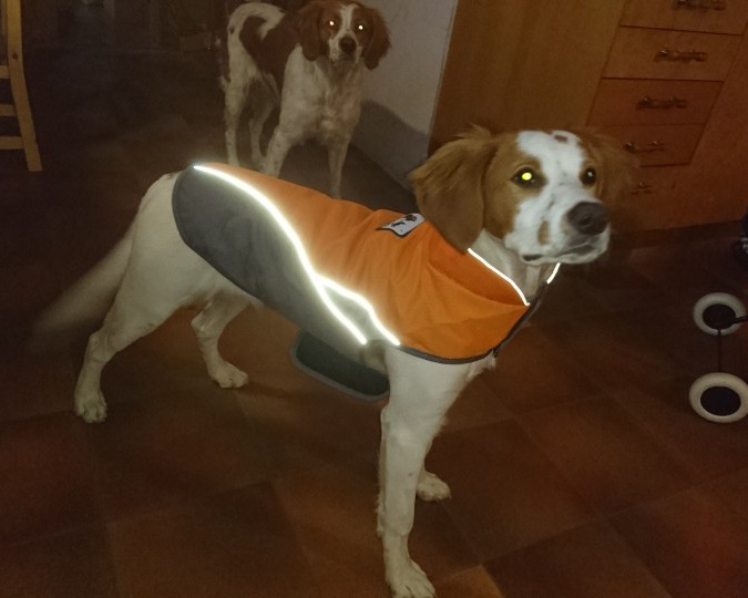 UTB8gztBkJoSdeJk43Owq6ya4XXas