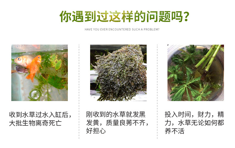 TB2RNDyldbJ8KJjy1zjXXaqapXa_!!