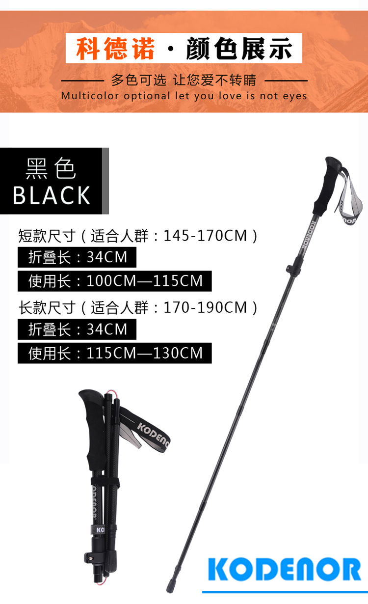 自由光1系 (37).jpg