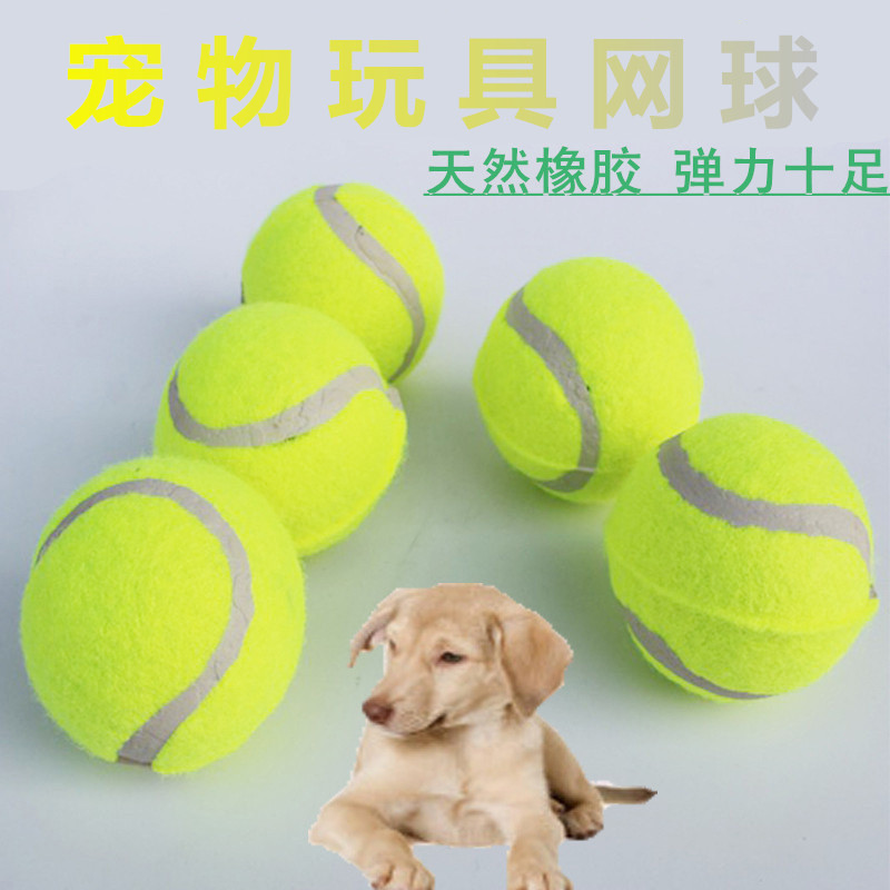 8719181607_745673911_副本