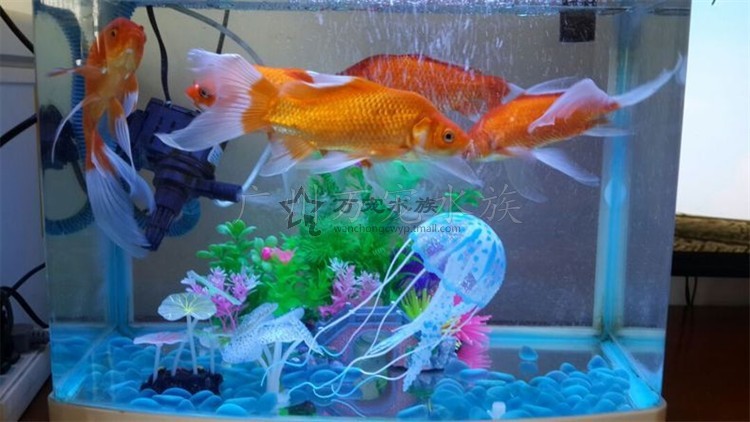 imagelock:3;k:r;s:J/x3zZmo8SxWIF8LKShyvD7nNAkN64SY0kuO8+3Jl0NZbWUK7Zfy74lT5g6MGqvsDjGyfWusl0PnndWqdQJti/4+Eypk847/D6oDrZXNckH7l+3rIjiQbkFCWR9xQgFB