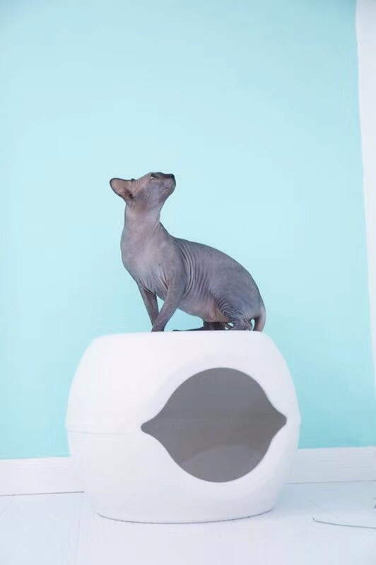 微信图片_20180909090522