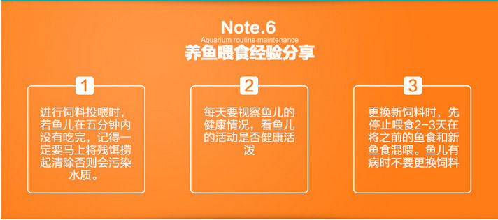 TB2rarOlpXXXXXOXpXXXXXXXXXX_!!