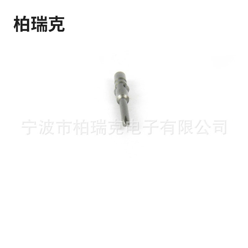 4128028300_702967113