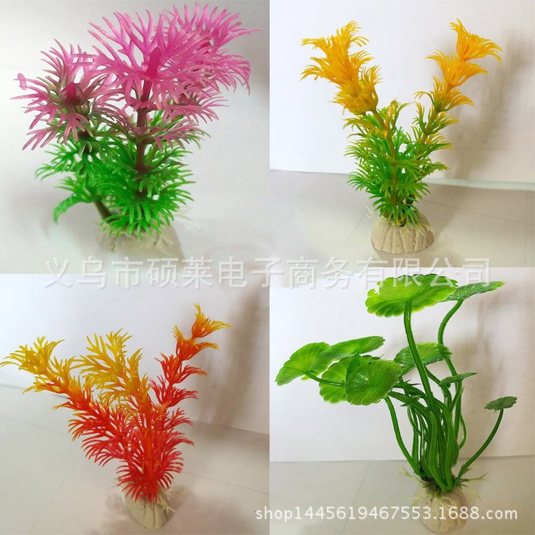 水草组合无水印