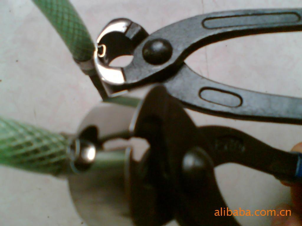 2018_11_01_11_23_IMG_2999