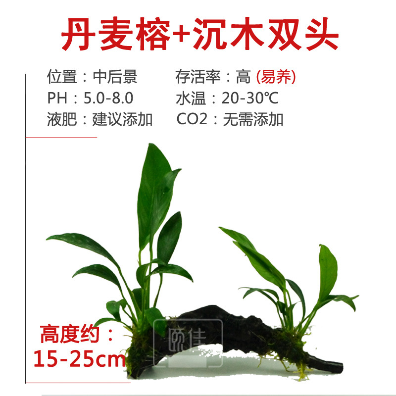 ?1?7?1?7?1?7?1?7?1?7?0?5?1?7?0?6?0?5?0?5