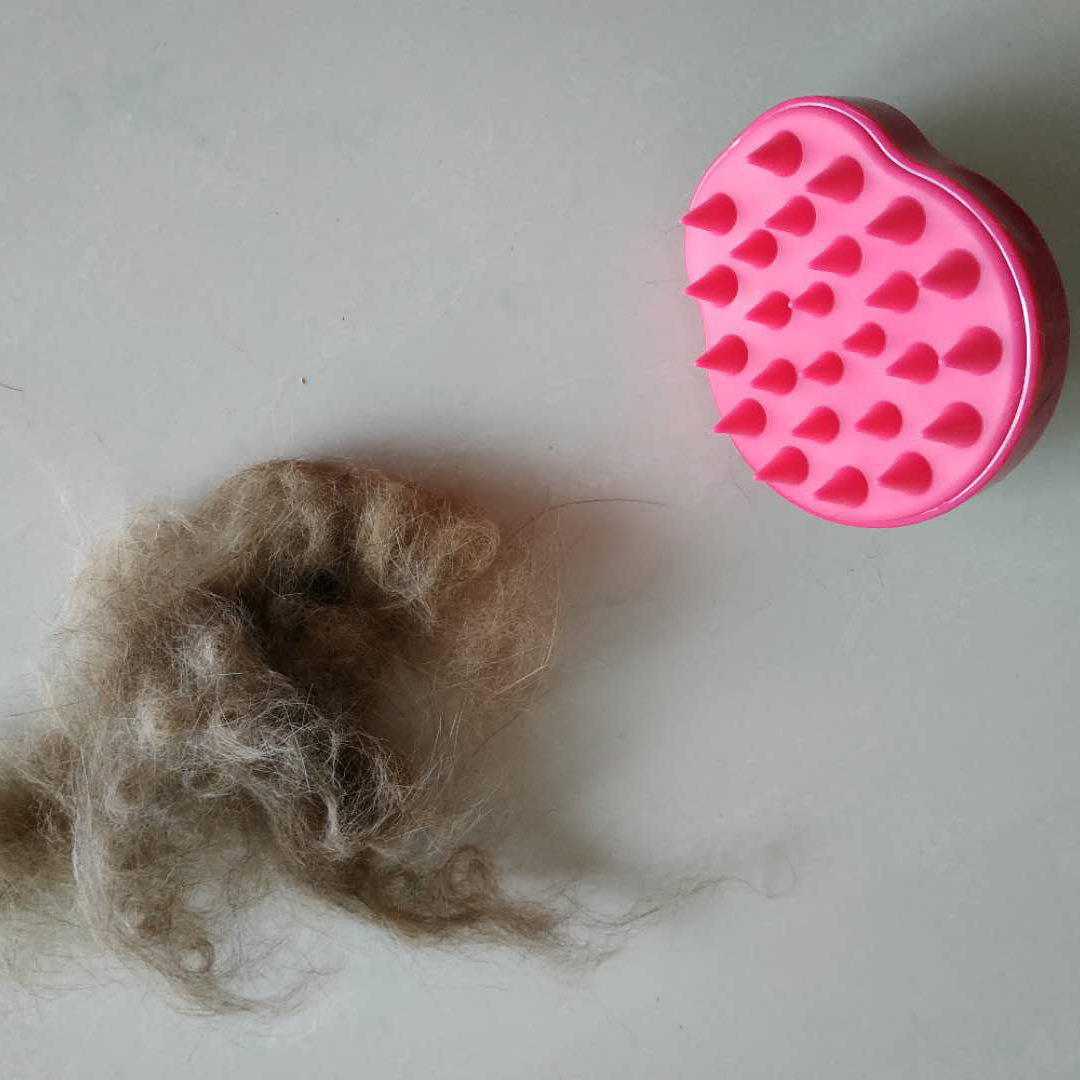 微信图片_20180719114445