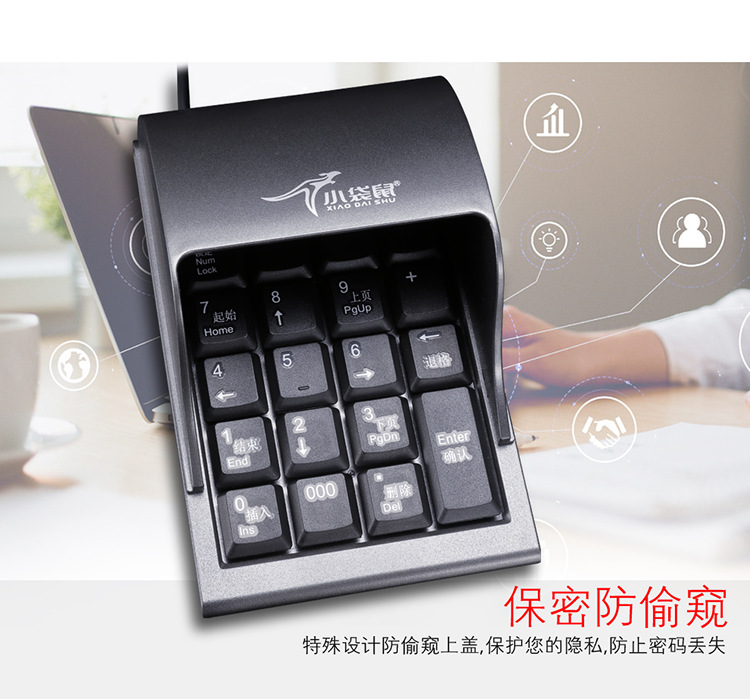 小袋鼠-DS-2029防偷窥键盘描述图_02.png