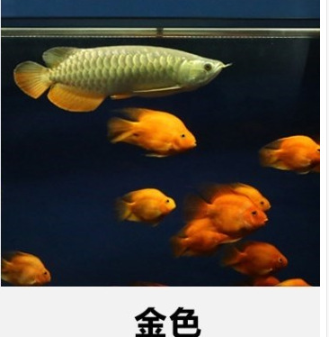 WeChat 圖片_20181203225131