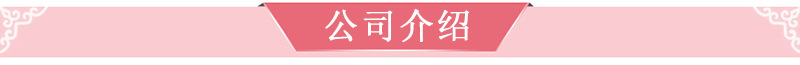 公司介绍