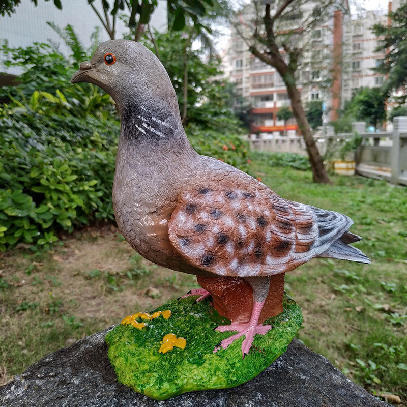 IMG_20181118_142758_副本
