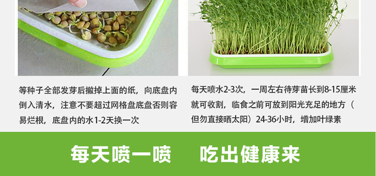 播种3.jpg