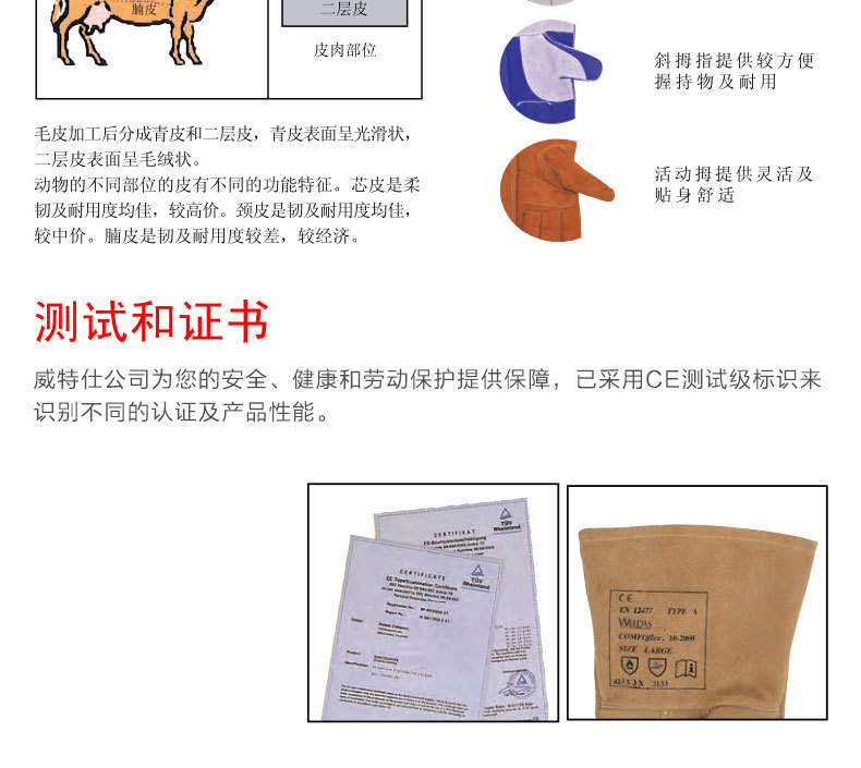 威特仕详情总_06