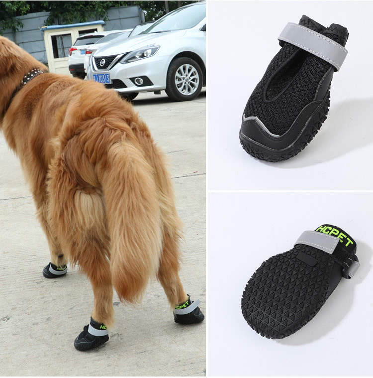 宠物网鞋_r22_c1.jpg