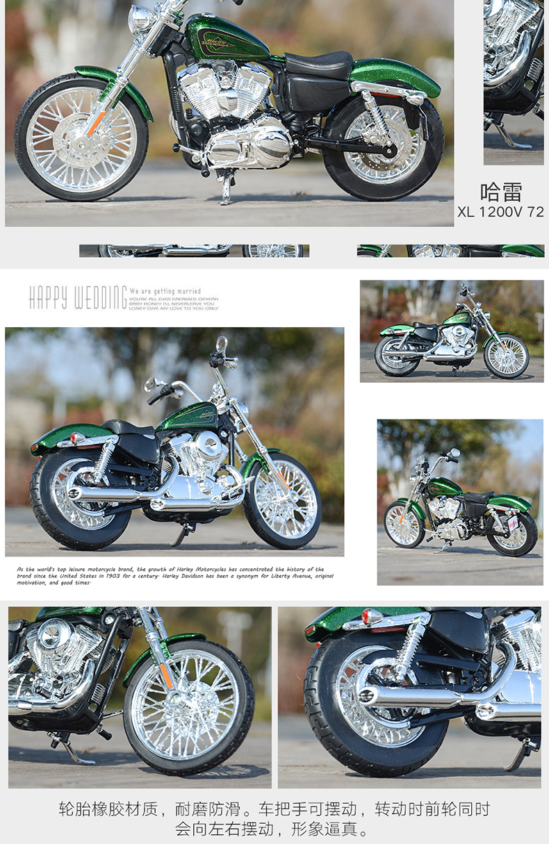 12-哈雷-摩托-2013-XL-1200V-72-详情_0