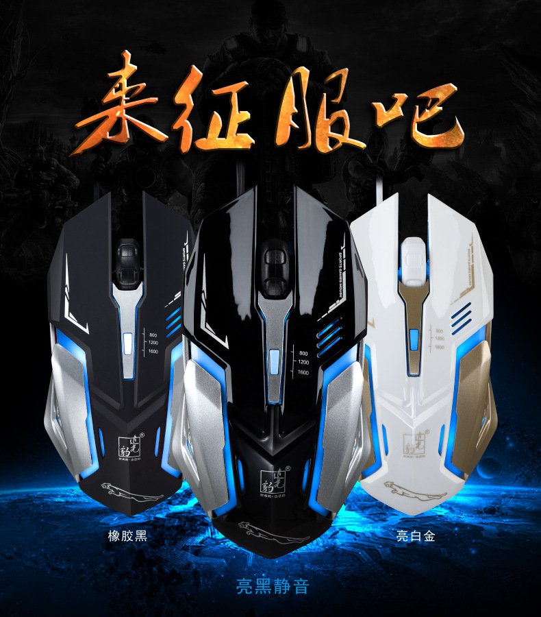 K1网图2